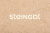 ��������� Steingot ������������� 200x100x40 �� ������� ������ �������